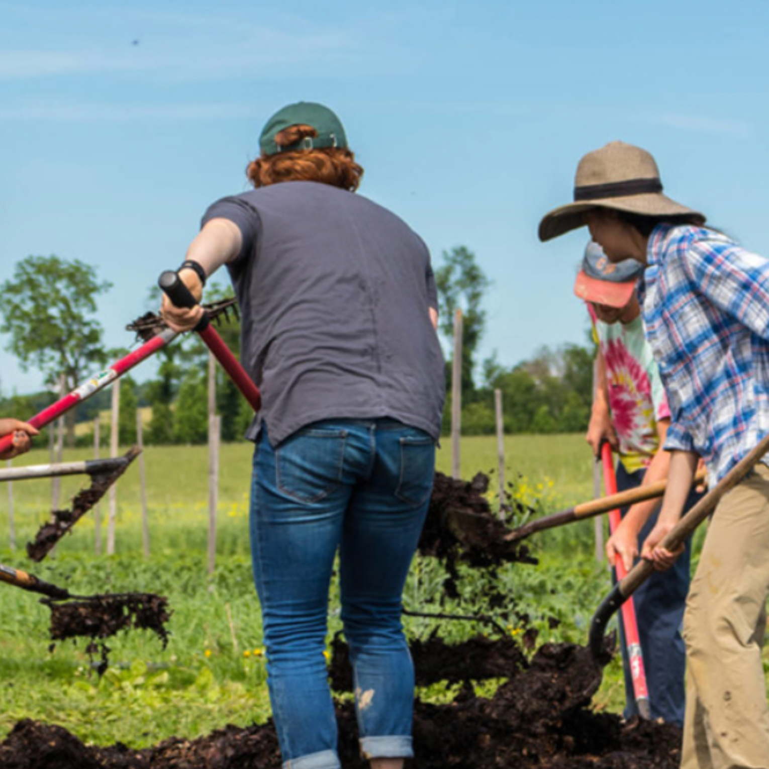 Giving Back through 1% For The Planet and the Rodale Institute